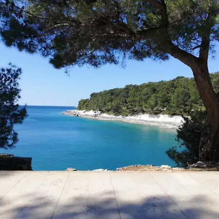 Villa Senorita *
